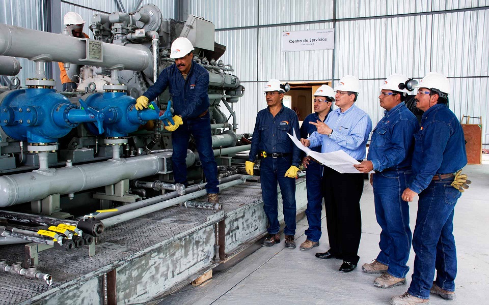 Servicio de Asesorías para el montaje de Procesamiento Industrial en Orellana, Orellana, Ecuador